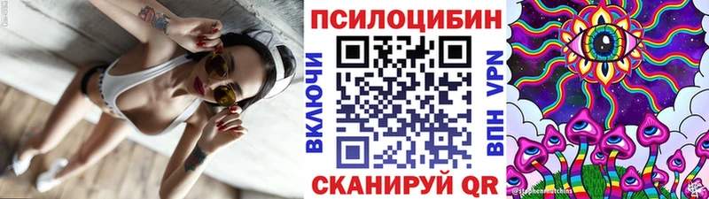 Галлюциногенные грибы Cubensis Севск