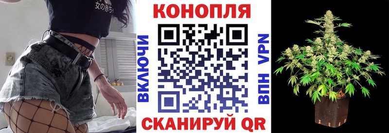 даркнет сайт  Севск  Конопля SATIVA & INDICA 